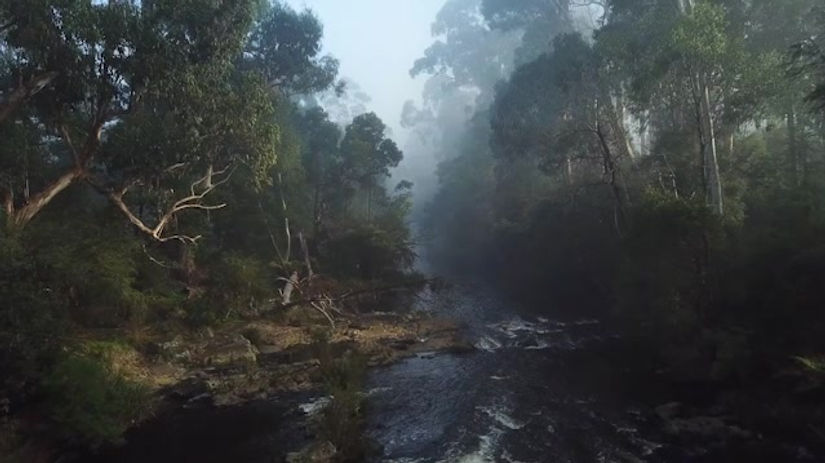 Clip 17 - Upper Yarra